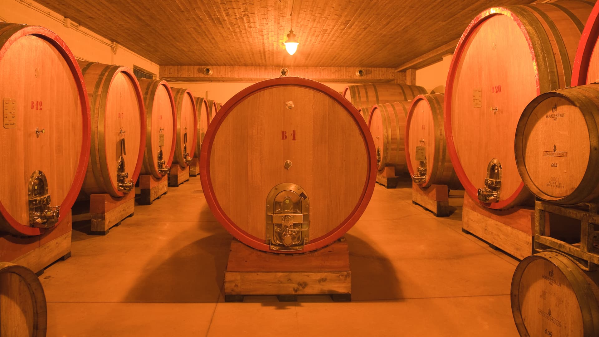 Winery, Abbazia Santa Anastasia