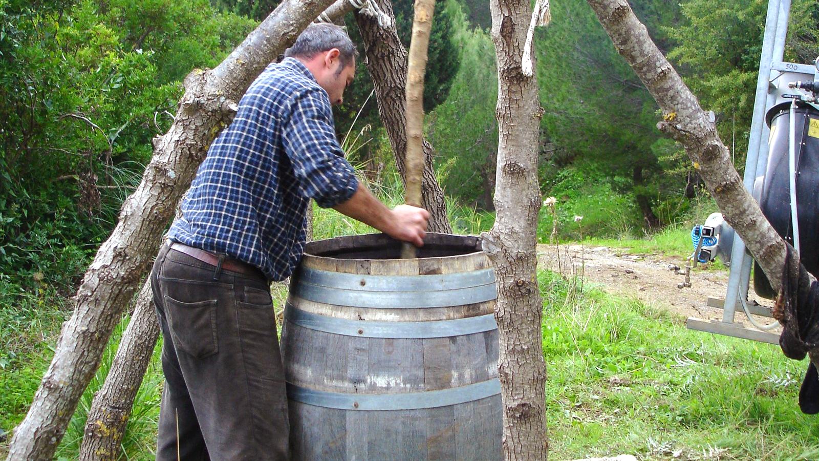 Winery, Abbazia Santa Anastasia